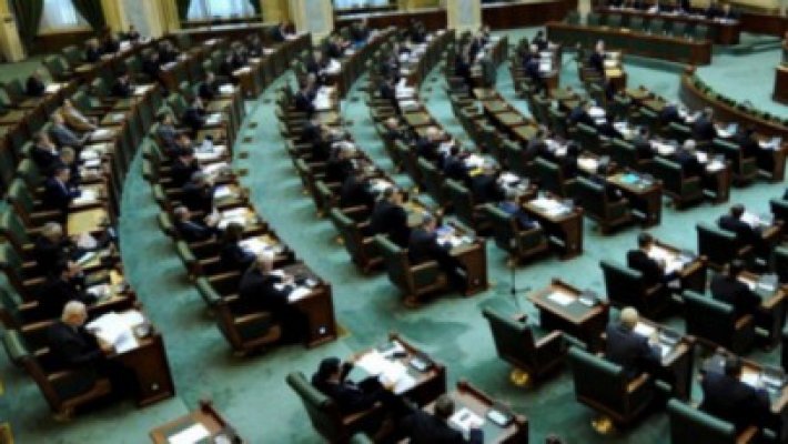 Senatul a respins înfiinţarea Partidului Mişcarea Populară